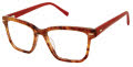 Ted Baker TW015 Tortoise Burgundy (TOR) Eyeglasses - Color Image
