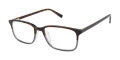 Ted Baker TMUF003 Tortoise Grey (TOR) Eyeglasses - Color Image