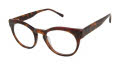 Ted Baker TW010 Tortoise (TOR) Eyeglasses - Color Image
