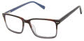 Ted Baker B979 Tortoise Grey (TOR) Eyeglasses - Color Image