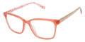 Ted Baker B982 Coral (COR) Eyeglasses - Color Image