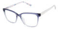 Ted Baker B982 Purple (PUR) Eyeglasses - Color Image
