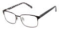 Ted Baker B984 Dark Gun (DGN) Eyeglasses - Color Image