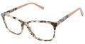 Ted Baker B985 Ivory (IVO) Eyeglasses - Color Image