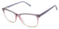Ted Baker B985 Purple (PUR) Eyeglasses - Color Image
