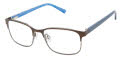 Ted Baker B989 Brown (BRN) Eyeglasses - Color Image