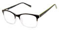 Ted Baker B991 Black (BLK) Eyeglasses - Color Image