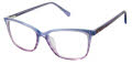 Ted Baker B992 Purple (PUR) Eyeglasses - Color Image