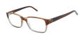 Ted Baker BIO868 Brown Horn (HRN)  Eyeglasses - Color Image