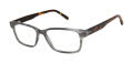 Ted Baker BIO894 Grey Horn (GRY) Eyeglasses - Color Image