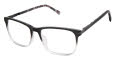 Ted Baker TFM017 Black (BLK) Eyeglasses - Color Image