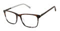 Ted Baker TFM017 Tortoise Grey (TOR) Eyeglasses - Color Image