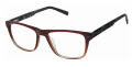 Ted Baker TFM018 Burgundy (BUR) Eyeglasses - Color Image