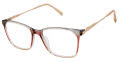 Ted Baker TFW009 Grey Blush (GRY) Eyeglasses - Color Image