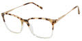 Ted Baker TFW009 Tortoise (TOR) Eyeglasses - Color Image