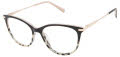 Ted Baker TFW010 Black (BLK) Eyeglasses - Color Image