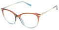 Ted Baker TFW010 Brown (BRN) Eyeglasses - Color Image