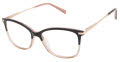 Ted Baker TFW011 Black (BLK) Eyeglasses - Color Image