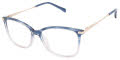 Ted Baker TFW011 Blue (BLU) Eyeglasses - Color Image