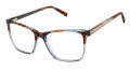 Ted Baker TFW020 Blue Tortoise (BLU) Eyeglasses - Color Image