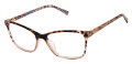 Ted Baker TFW021 Tortoise (TOR) Eyeglasses - Color Image