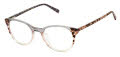 Ted Baker TFW022 Grey (GRY) Eyeglasses - Color Image