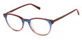 Ted Baker TFW022 Navy (NAV) Eyeglasses - Color Image