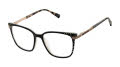Ted Baker TFW023 Black (BLK) Eyeglasses - Color Image