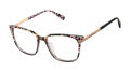 Ted Baker TFW023 Grey (GRY) Eyeglasses - Color Image