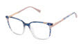 Ted Baker TFW023 Navy (NAV) Eyeglasses - Color Image
