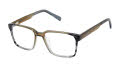 Ted Baker TKB005 Olive Grey (OLI) Eyeglasses - Color Image