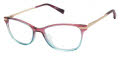 Ted Baker TKG002 Raspberry (RAS) Eyeglasses - Color Image