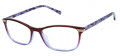 Ted Baker TKG003 Purple (PUR) Eyeglasses - Color Image