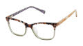 Ted Baker TKG004 Grey (GRY) Eyeglasses - Color Image
