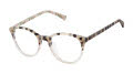 Ted Baker TKG005 Ivory Tortoise (IVO) Eyeglasses - Color Image
