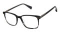 Ted Baker TLM003 Black (BLK) Eyeglasses - Color Image