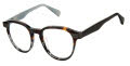 Ted Baker TLM004 Tortoise (TOR) Eyeglasses - Color Image