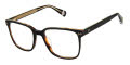 Ted Baker TLM005 Black (BLK) Eyeglasses - Color Image
