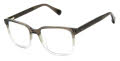 Ted Baker TLM005 Grey (GRY) Eyeglasses - Color Image