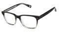 Ted Baker TLM006 Black (BLK) Eyeglasses - Color Image