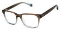 Ted Baker TLM006 Slate (SLA) Eyeglasses - Color Image