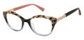 Ted Baker TLW007 Black (BLK) Eyeglasses - Color Image