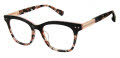 Ted Baker TLW008 Black (BLK) Eyeglasses - Color Image