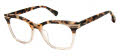 Ted Baker TLW008 Ivory Tortoise (IVO) Eyeglasses - Color Image