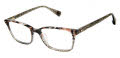 Ted Baker TLW009 Grey (GRY) Eyeglasses - Color Image