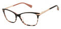 Ted Baker TLW010 Black (BLK) Eyeglasses - Color Image