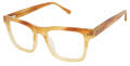 Ted Baker TM010 Amber (AMB) Eyeglasses - Color Image