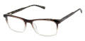 Ted Baker TM017 Brown (BRN) Eyeglasses - Color Image