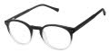 Ted Baker TM018 Black (BLK) Eyeglasses - Color Image