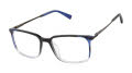 Ted Baker TMUF008 Black (BLK) Eyeglasses - Color Image